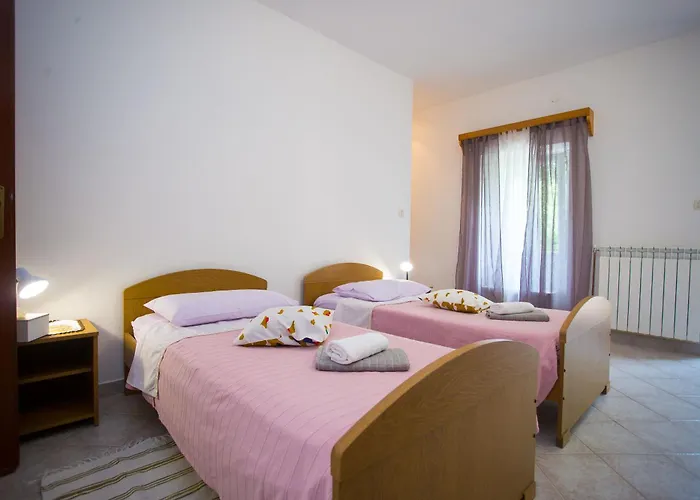 Apartment Napoleon Zminj