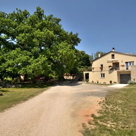 Apartment Napoleon *