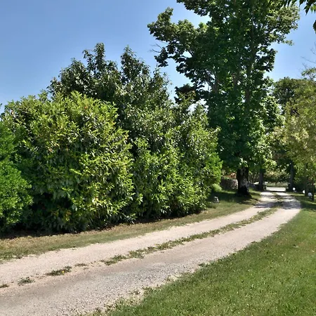 Apartment Napoleon Zminj