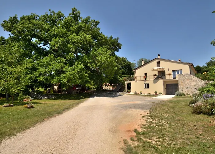 Apartment Napoleon *